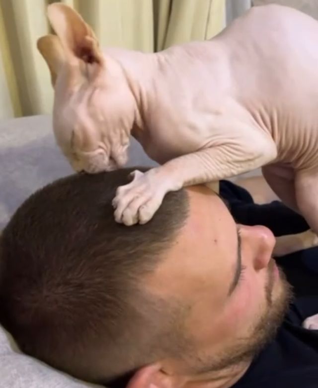 Взаимовыгодный союз