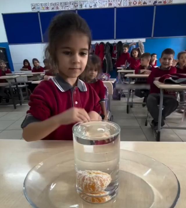 Как достать мандарин рукой без подручных средств и не пролив воды Как достать мандарин рукой без подручных средств и не пролив воды