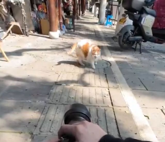 Фотограф встретил идеальную модель Фотограф встретил идеальную модель