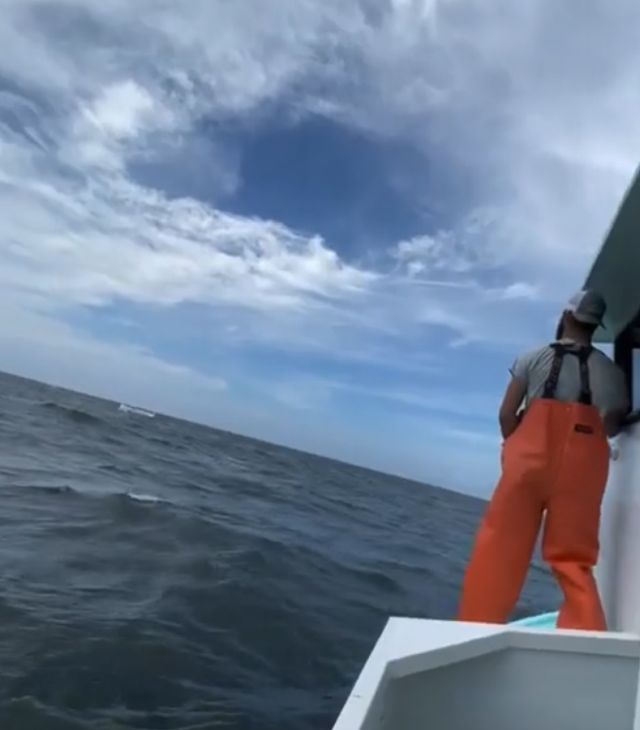 Так вот куда улетела крыша