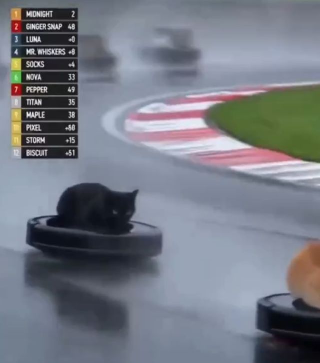 Формула-1, которую мы заслужили