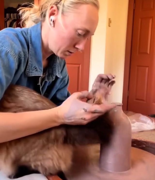 Жизнь с котом