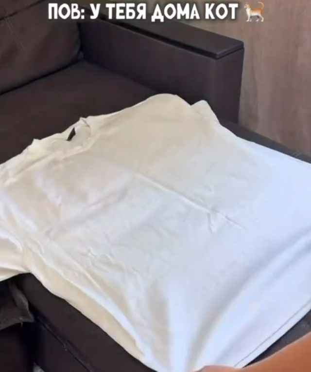 Жизнь с котом