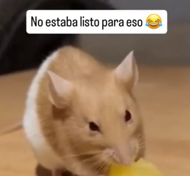 Кисло, но вкусно