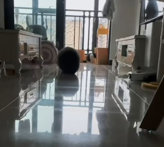 Максимальный уровень пушистости