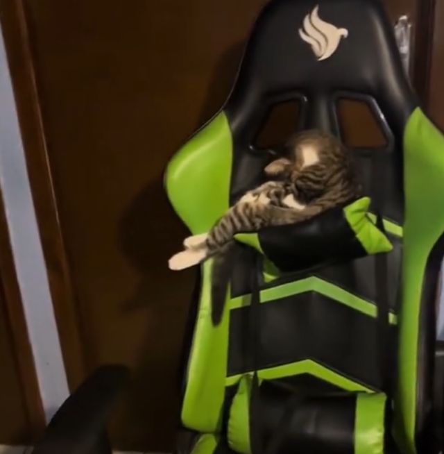 Купил себе игровое кресло