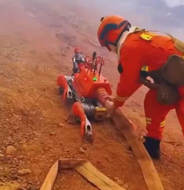 Робопсы осваивают профессию пожарного