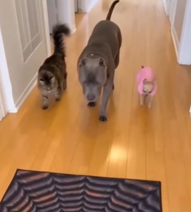 Прежде чем действовать, нужно проверить