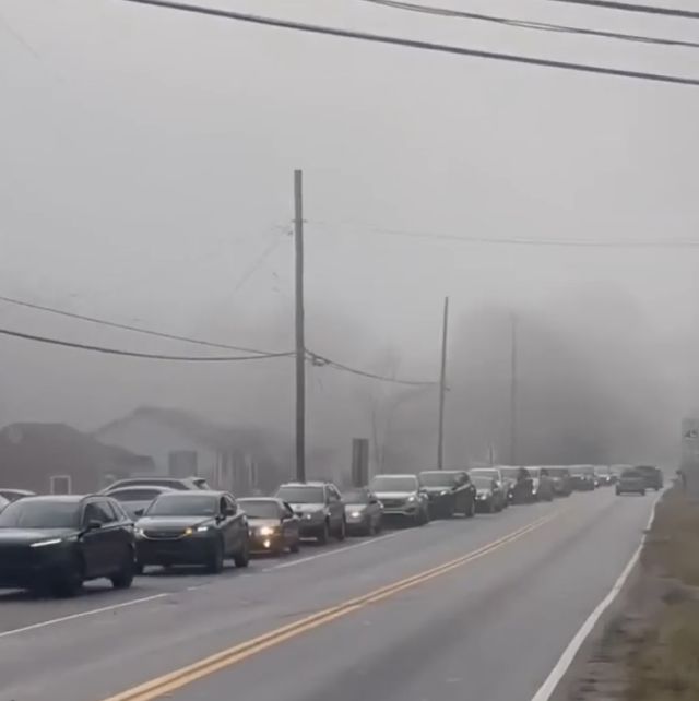 Неожиданная причина пробки на дороге