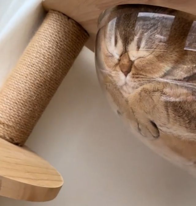 Состояние на утро вторника