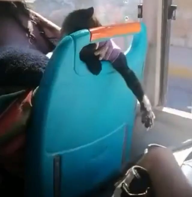 Женщина, предъявите билет