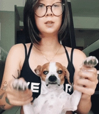 Собака с самой красноречивой мордочкой