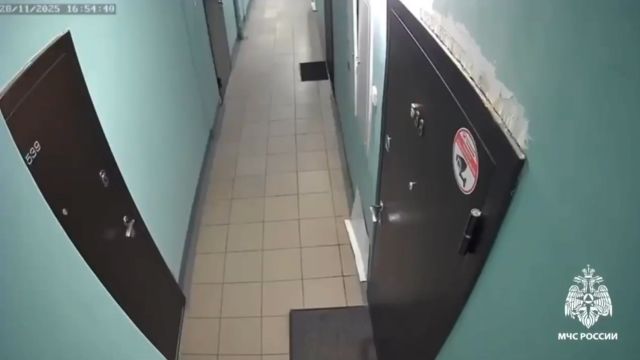 Собака устроила мощный взрыв в Новосибирске