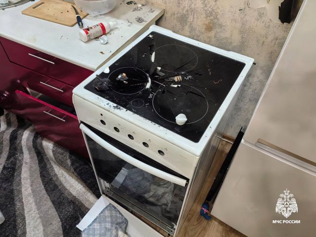 Собака устроила мощный взрыв в Новосибирске