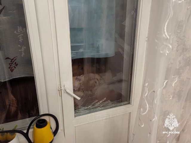 Собака устроила мощный взрыв в Новосибирске