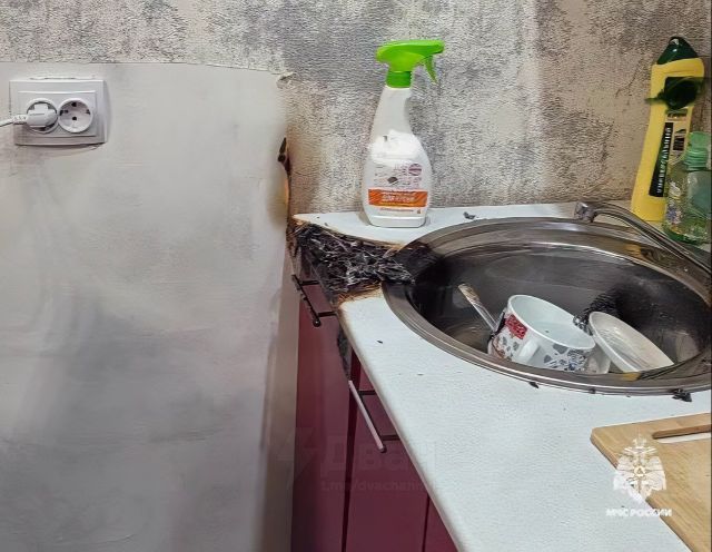 Собака устроила мощный взрыв в Новосибирске