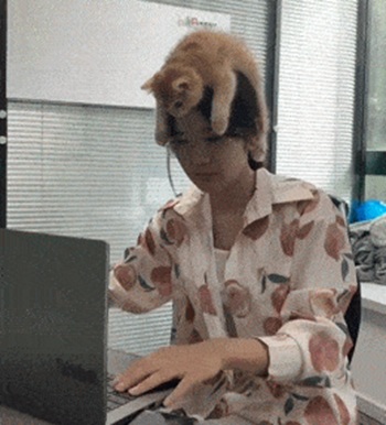 Девушка работает с котенком на голове