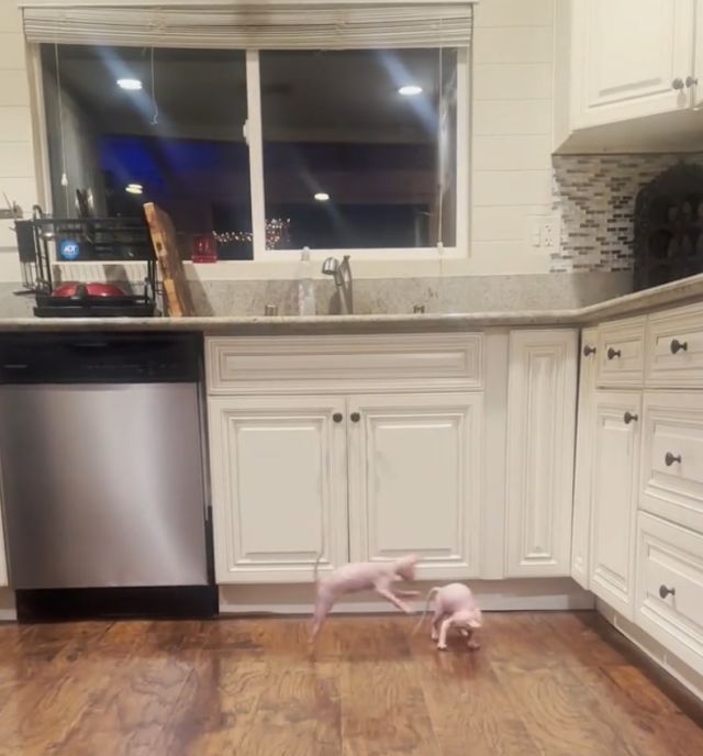 Когда оставил курицу размораживаться слишком надолго