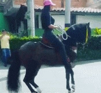 Прекрасная наездница на вороном коне