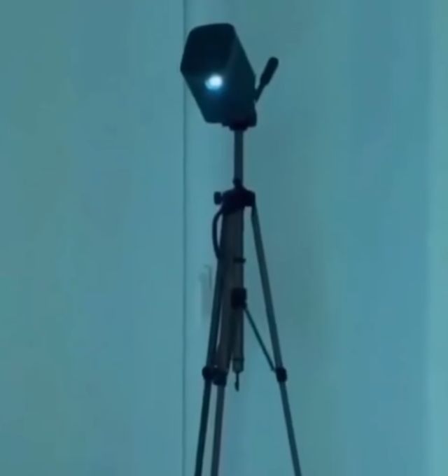 Домашний проектор — лучшая игрушка для котов