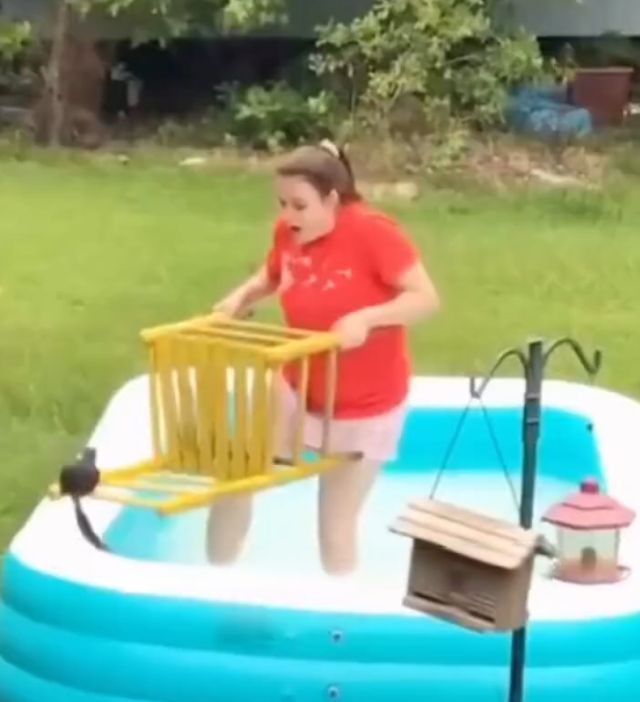 Белки - главные альфа-хищники в природе