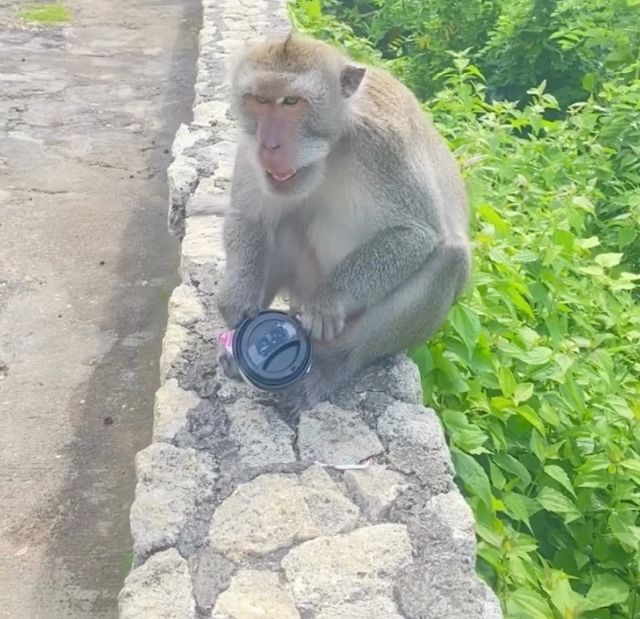 Обычный день на Бали