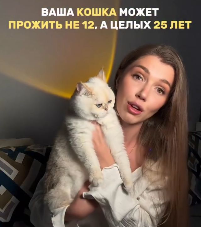 Как продлить жизнь своему коту вдвое?