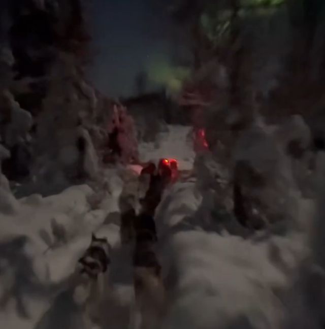 Житель Аляски заснял, возможно, самое красивое видео месяца