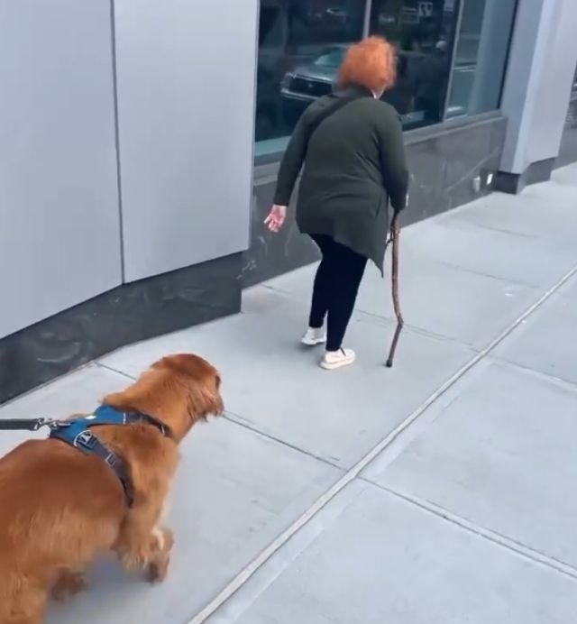 Ради крутой палки он готов стать плохим мальчиком