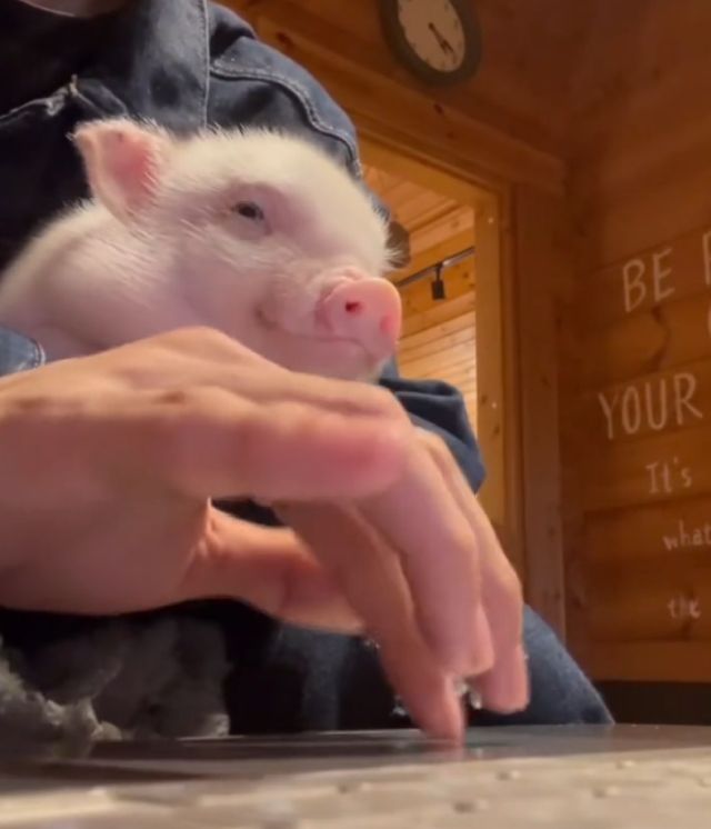 Рабочее состояние под конец года