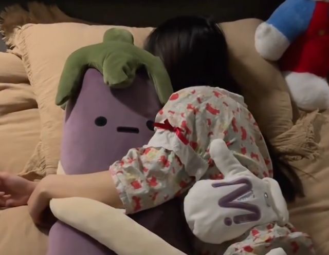 В Азии на фоне эпидемии одиночества народ подсел на дакимакуры