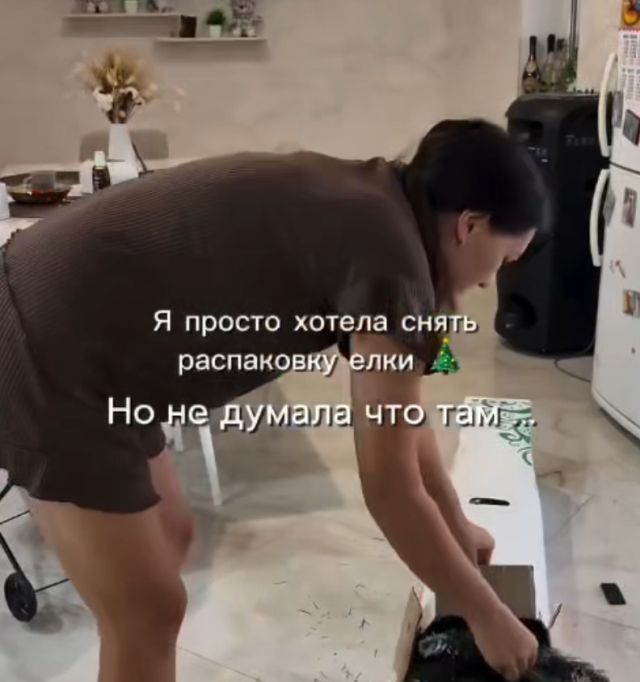 Девушка заказала домой новогоднюю ёлку, и вот что вышло
