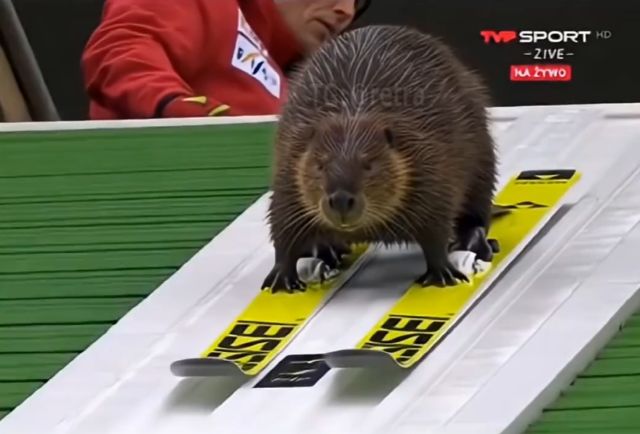 Польские Олимпийские игры