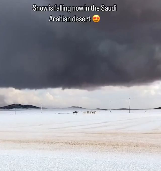В пустыне Саудовской Аравии выпал снег