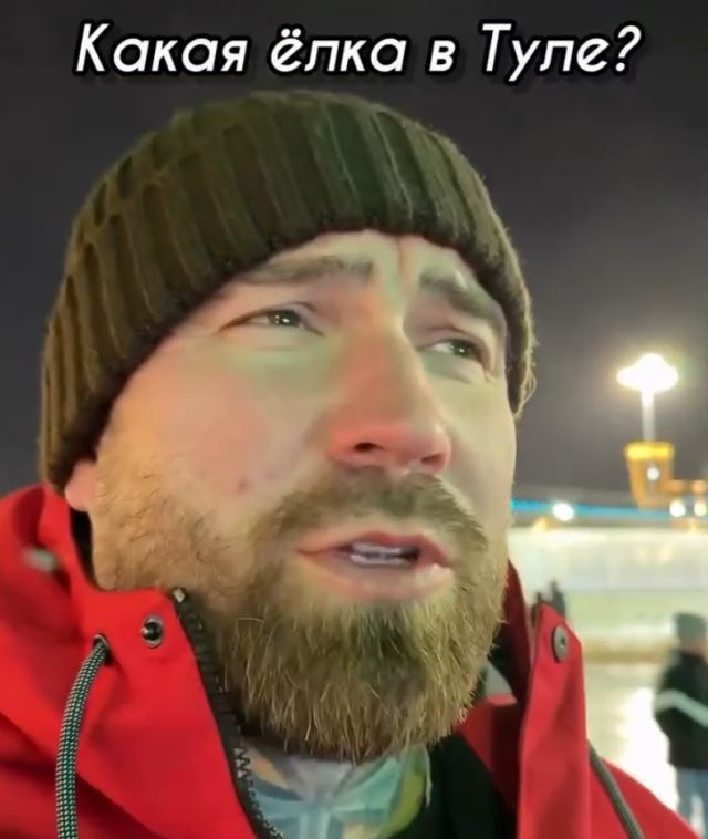 Тульская елка попала в Книгу рекордов России