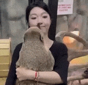 Ласковый и нежный зверь