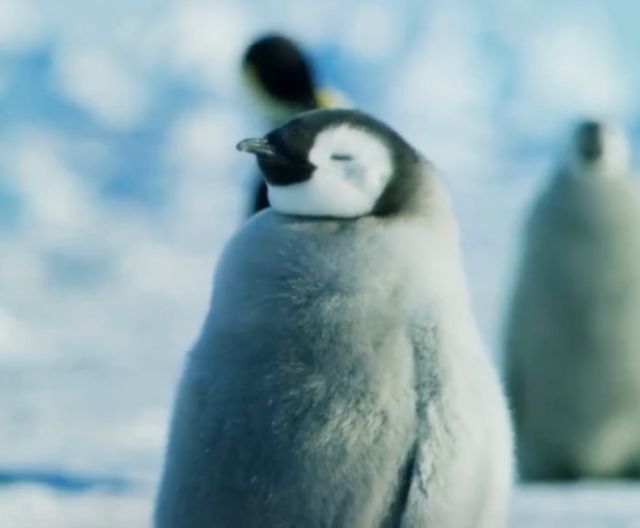 Сделайте глубокий вдох