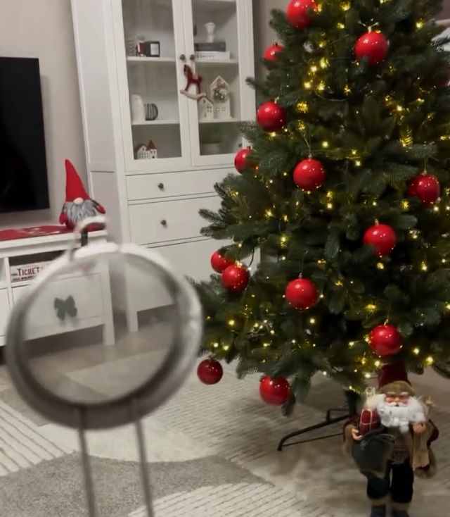 Как делать красивые снимки с помощью обычного сита