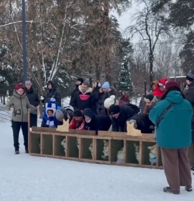 Корги-забег состоялся в Москве