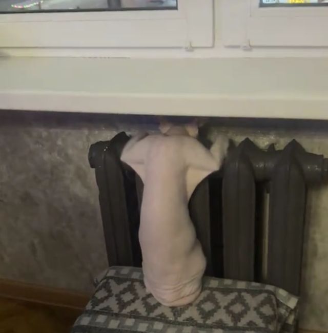 Разморозка окорочка