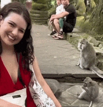 Обезьяна решила прогнать девушку со ступенек