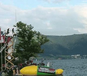 Эпичная кормежка косатки