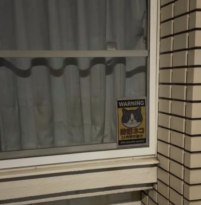 Японцы разработали лучшую систему видеонаблюдения