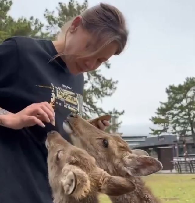 Япония набирает на работу иностранцев