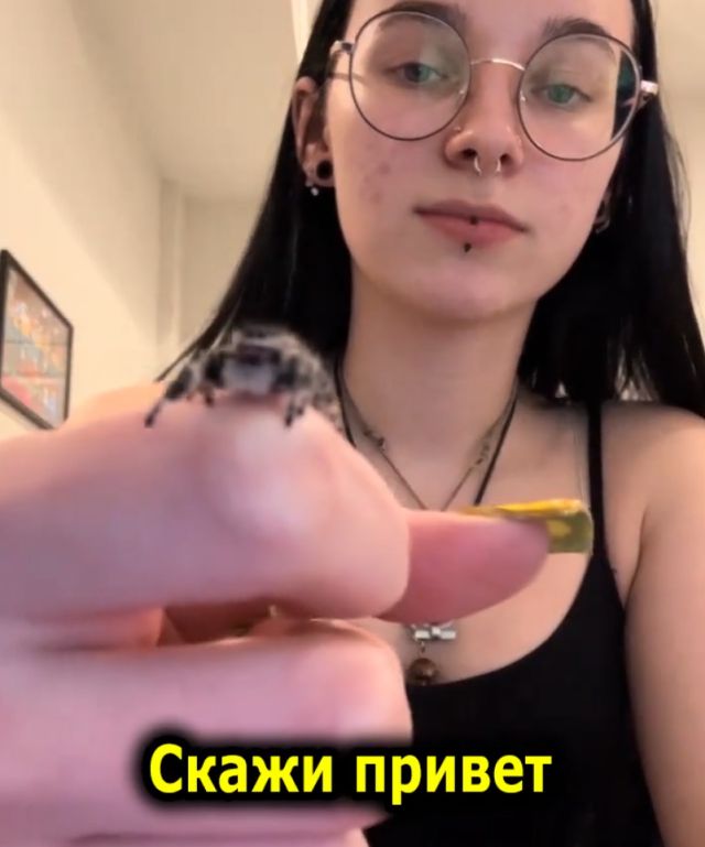 Паук - лучший друг человека