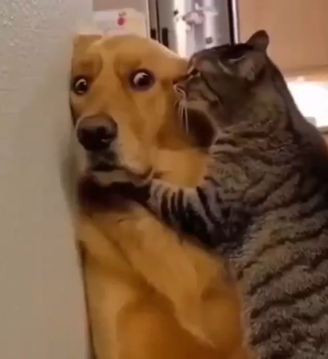 Когда у девушки небольшие перепады настроения