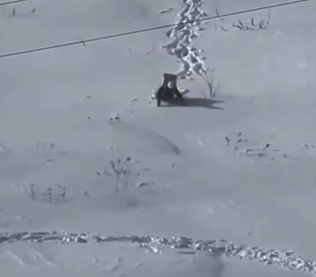 Самый целеустремлённый доставщик из Рязани