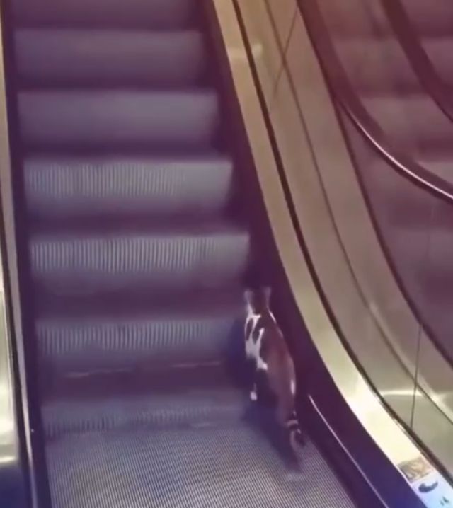 Не сразу сообразил