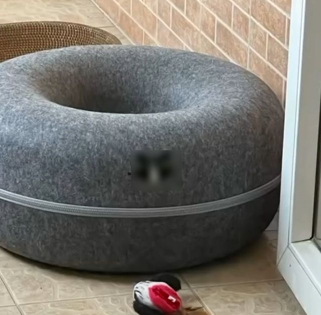 Вас заметили