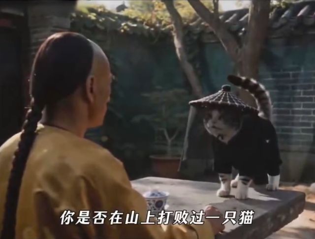 Классические китайские фильмы про кунг-фу, но с котами